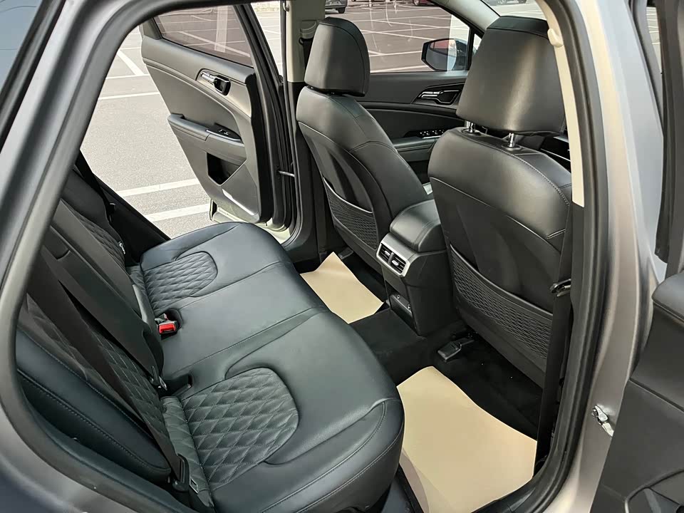 Kia Lion Platinum expands the world