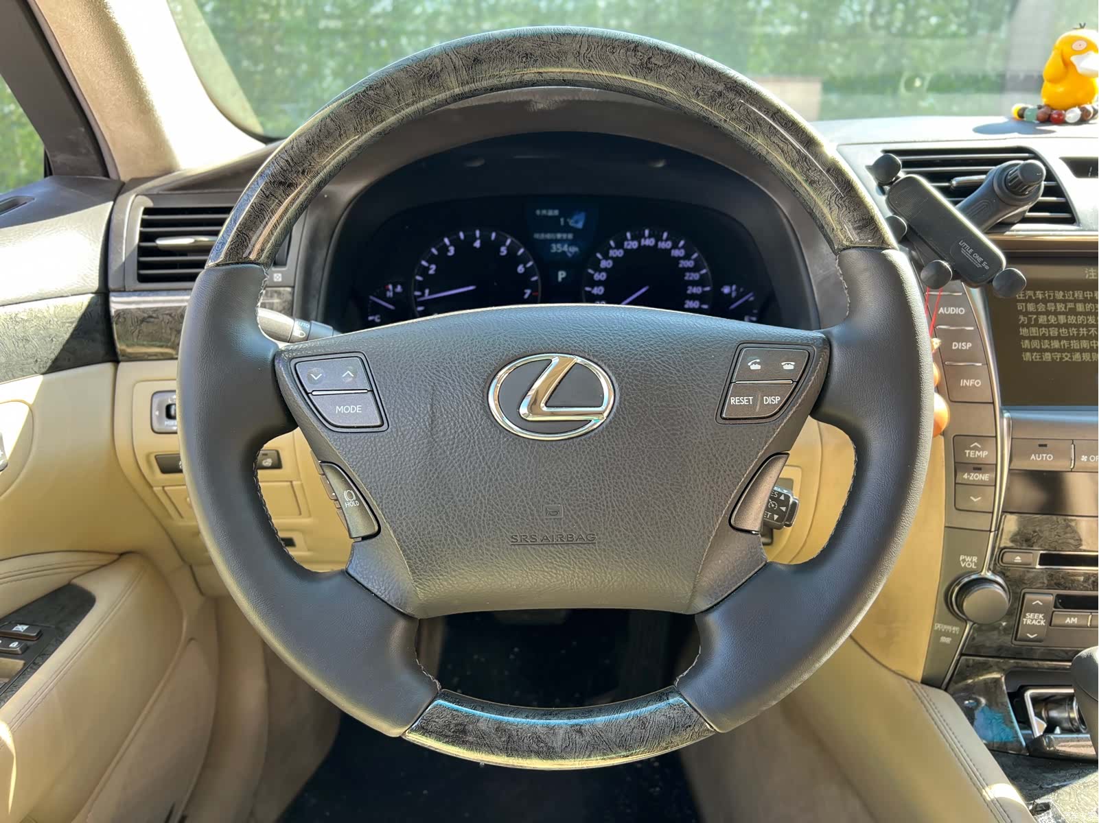Lexus LS, 2007 18