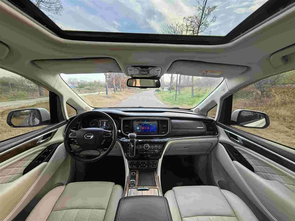 Trumpchi Trumpchi M8