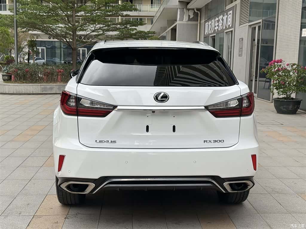 Lexus RX, 2018 7