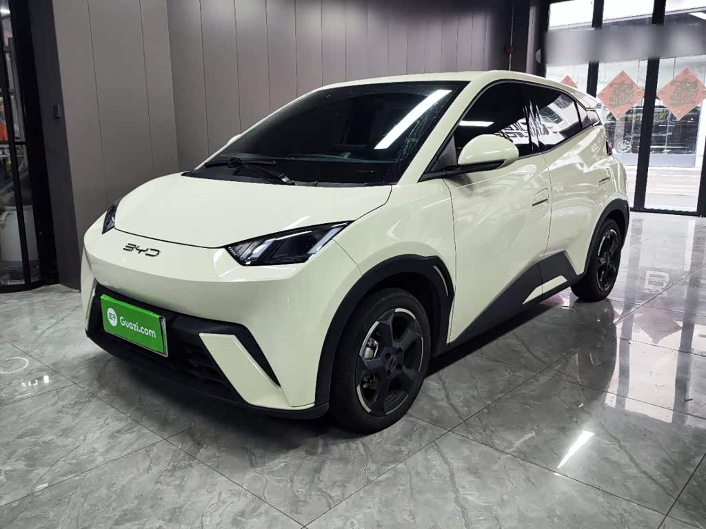 BYD Seagull