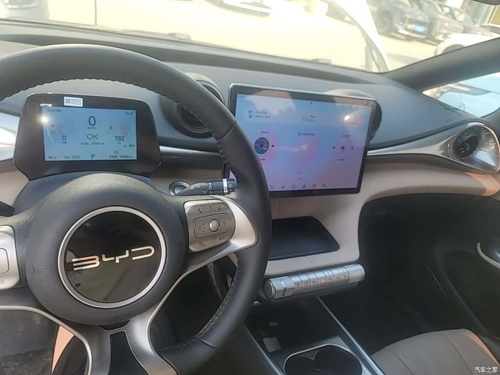 BYD Dolphin, 2024 6
