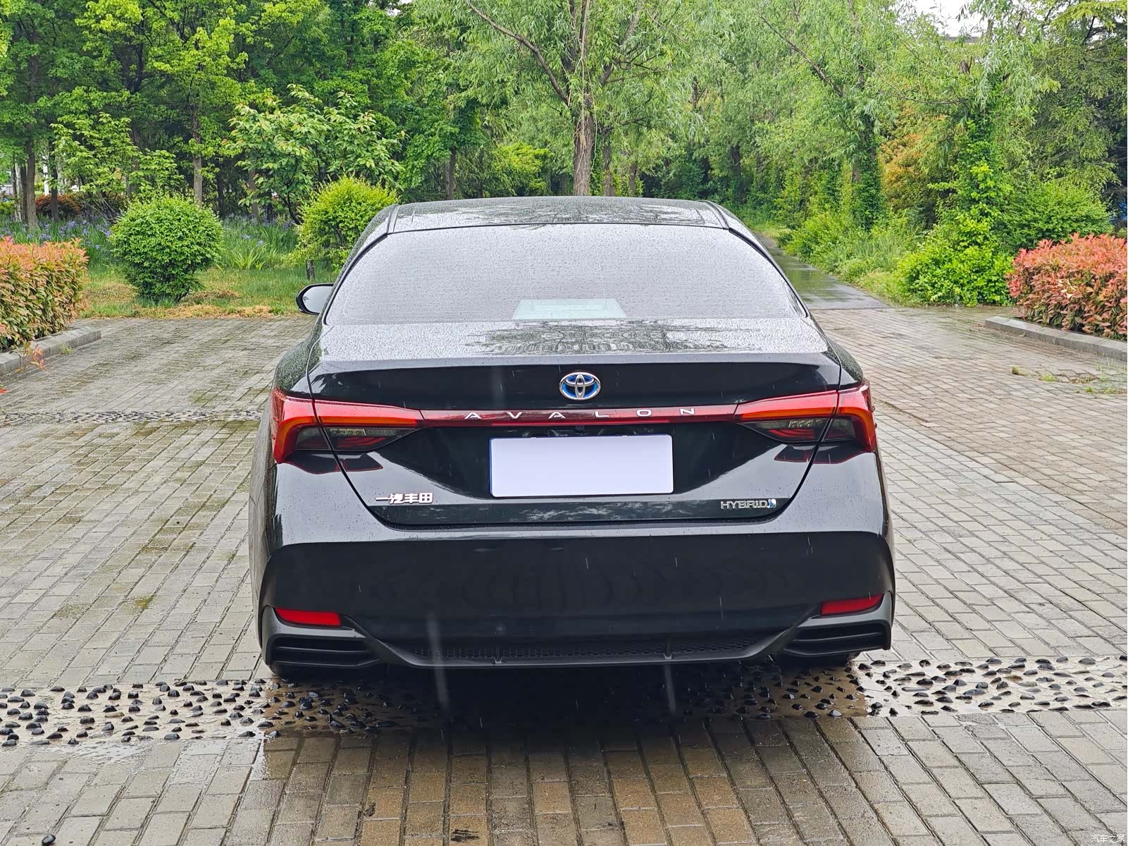 Toyota Avalon, 2022 8