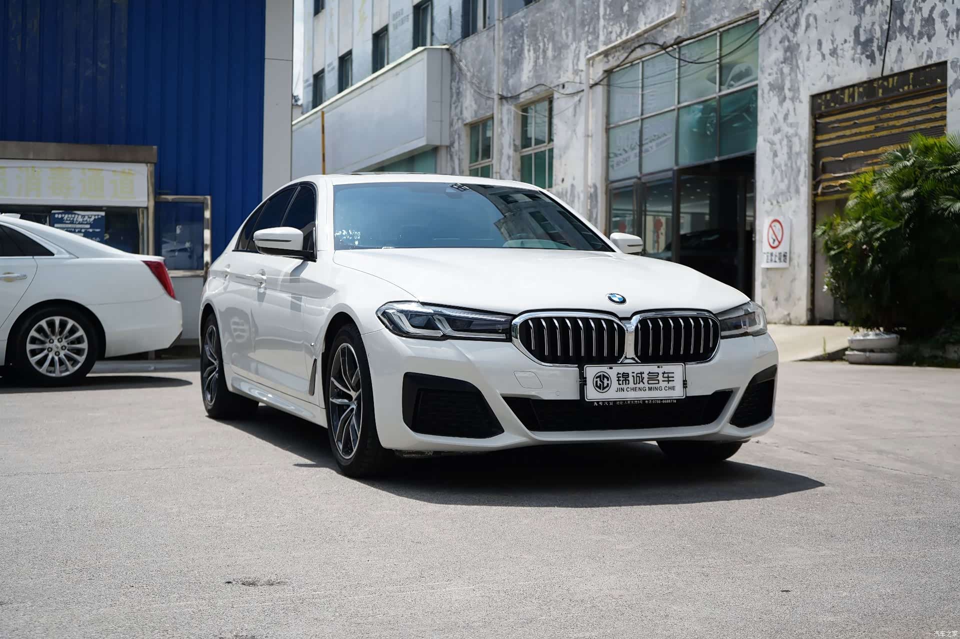 BMW 5 Series, 2022 2