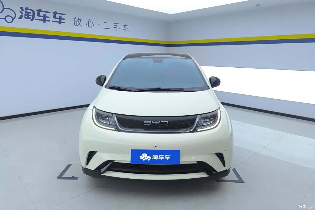 BYD Dolphin, 2024 2