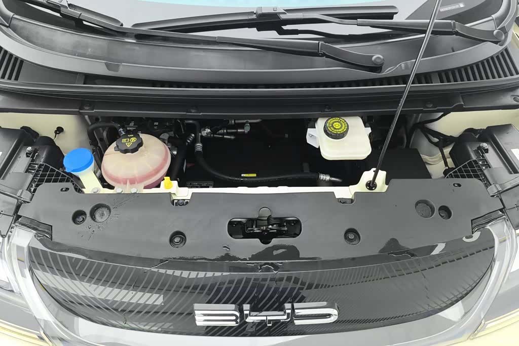 BYD Dolphin, 2024 10