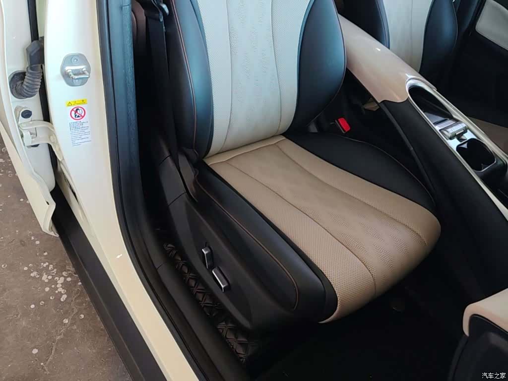 BYD Dolphin, 2024 25