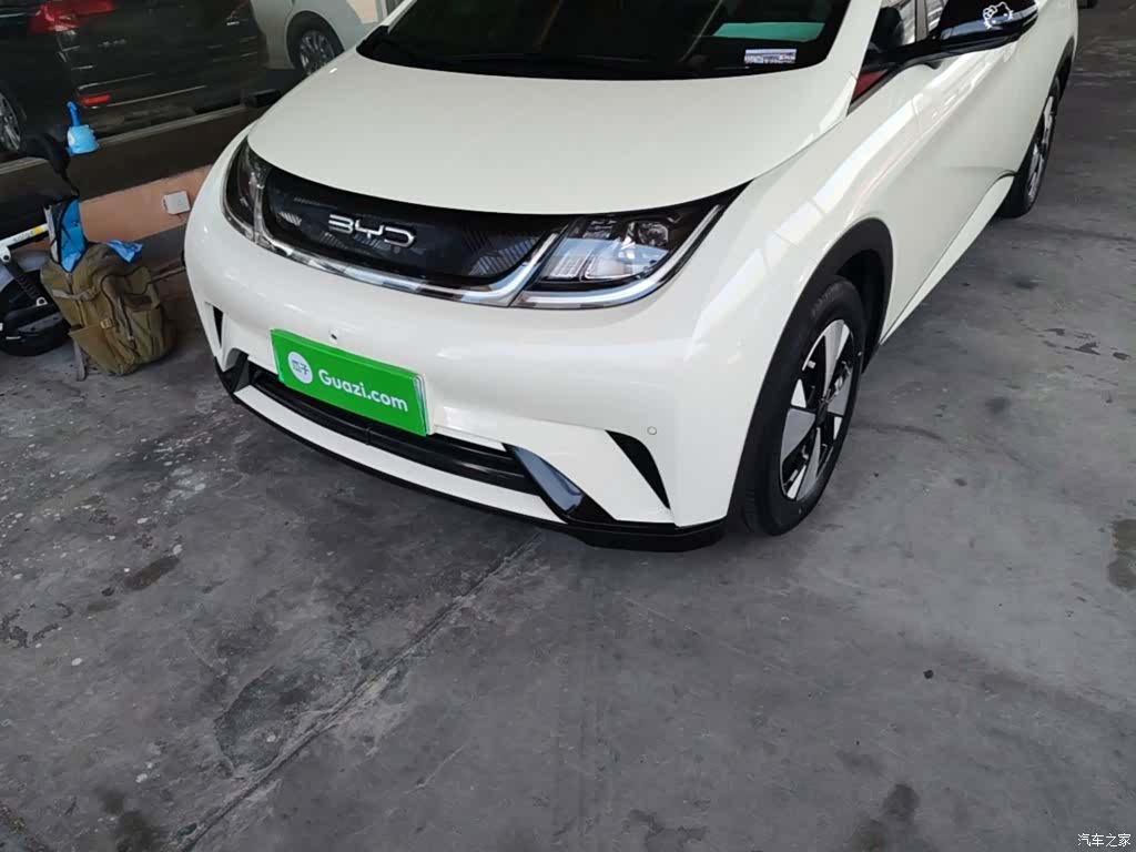 BYD Dolphin, 2024 24
