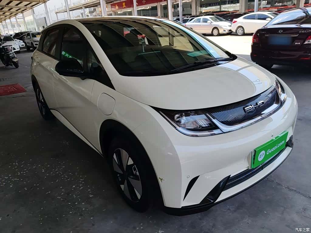 BYD Dolphin, 2024 4
