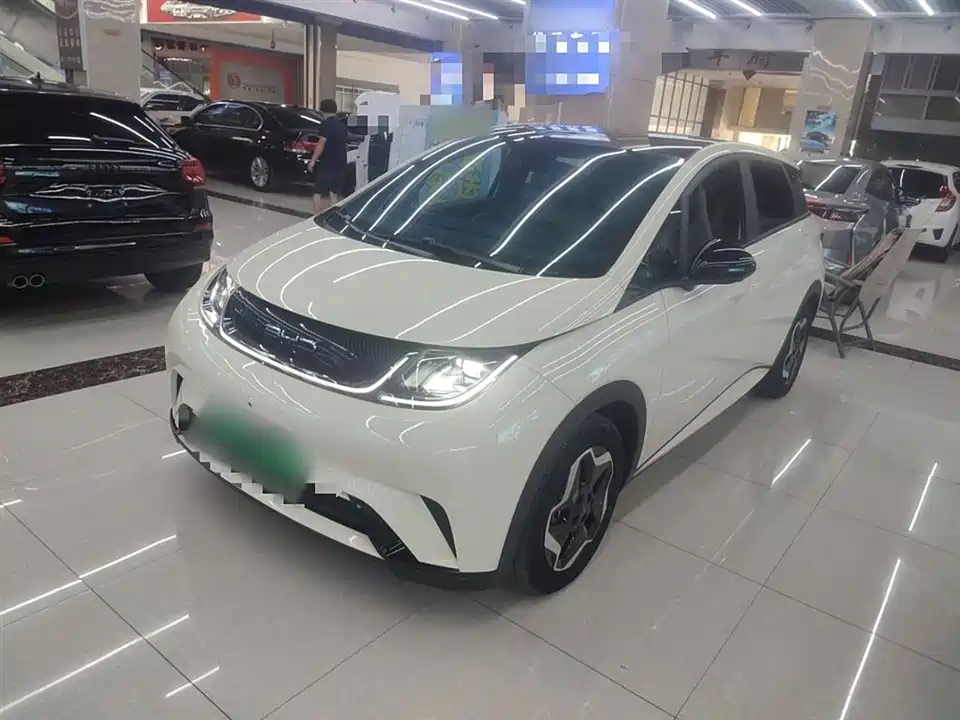 BYD dolphin