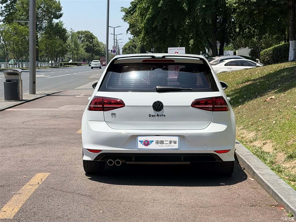 Volkswagen Golf, 2018 все фото