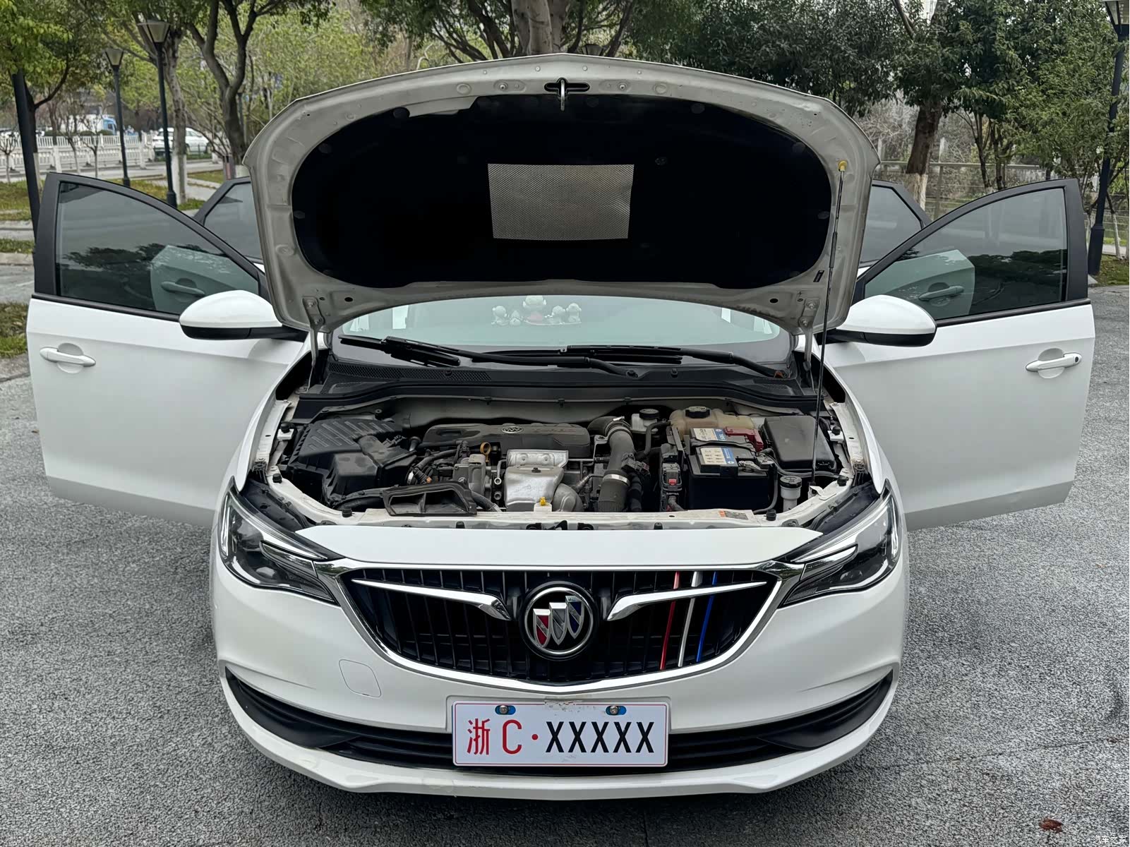 Buick V, 2019 19