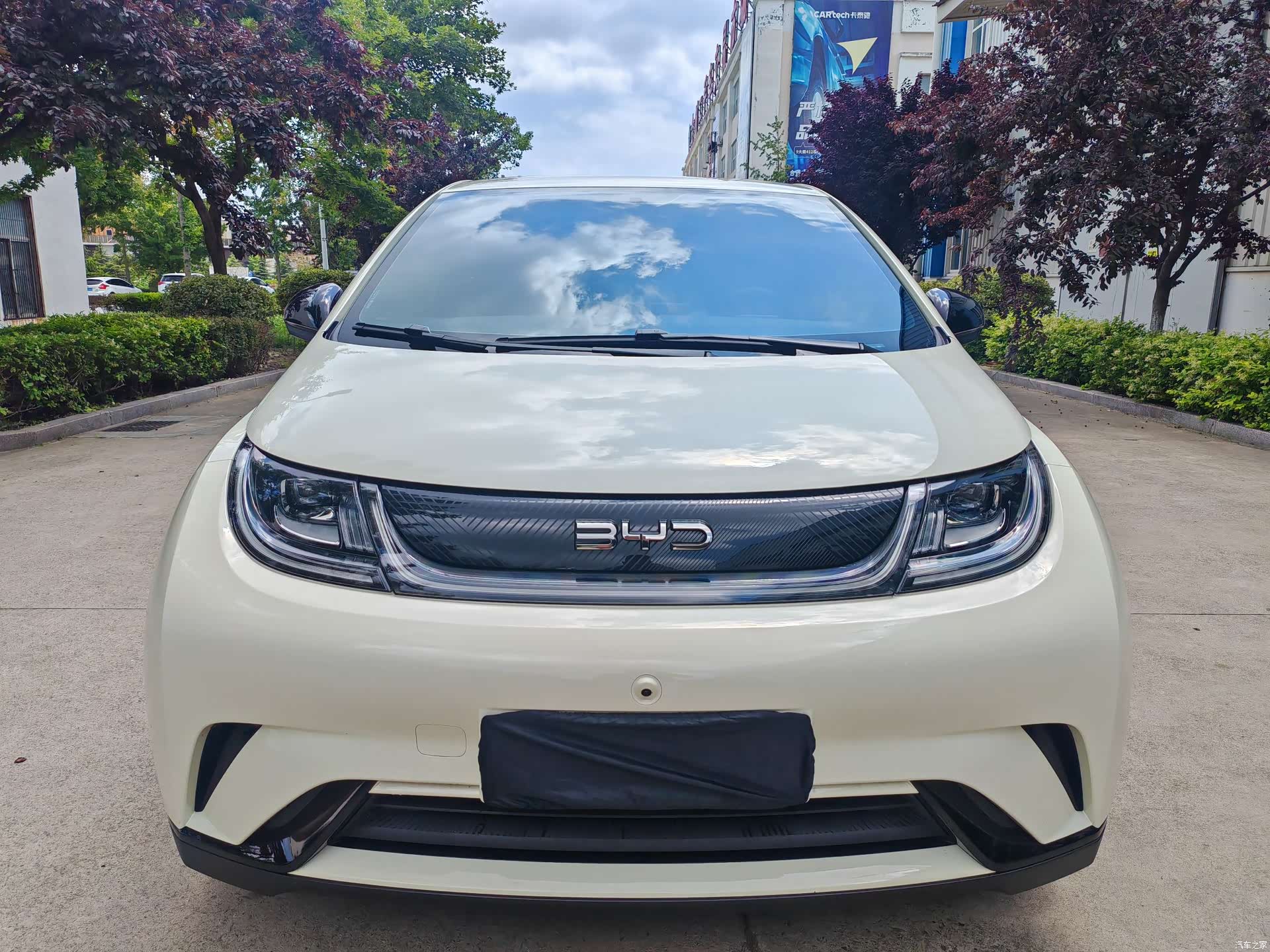 BYD Dolphin, 2026 2