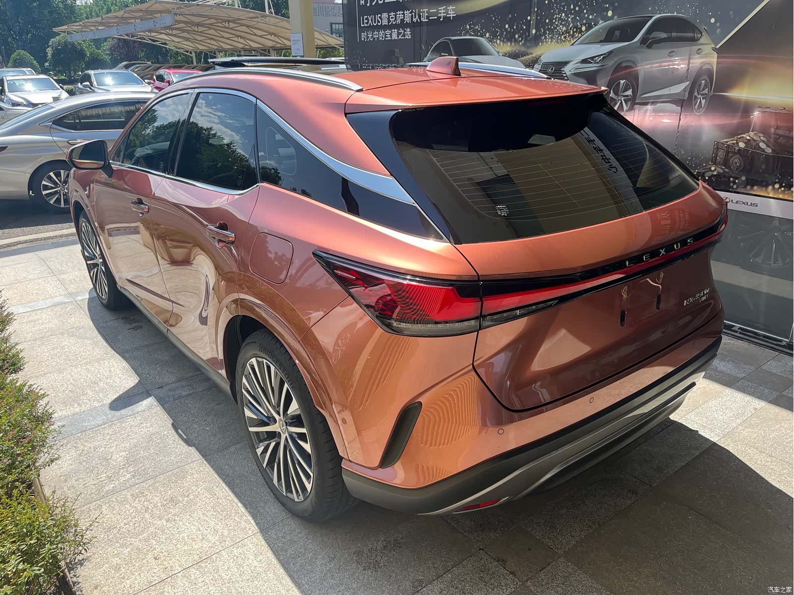 Lexus RX, 2023 все фото