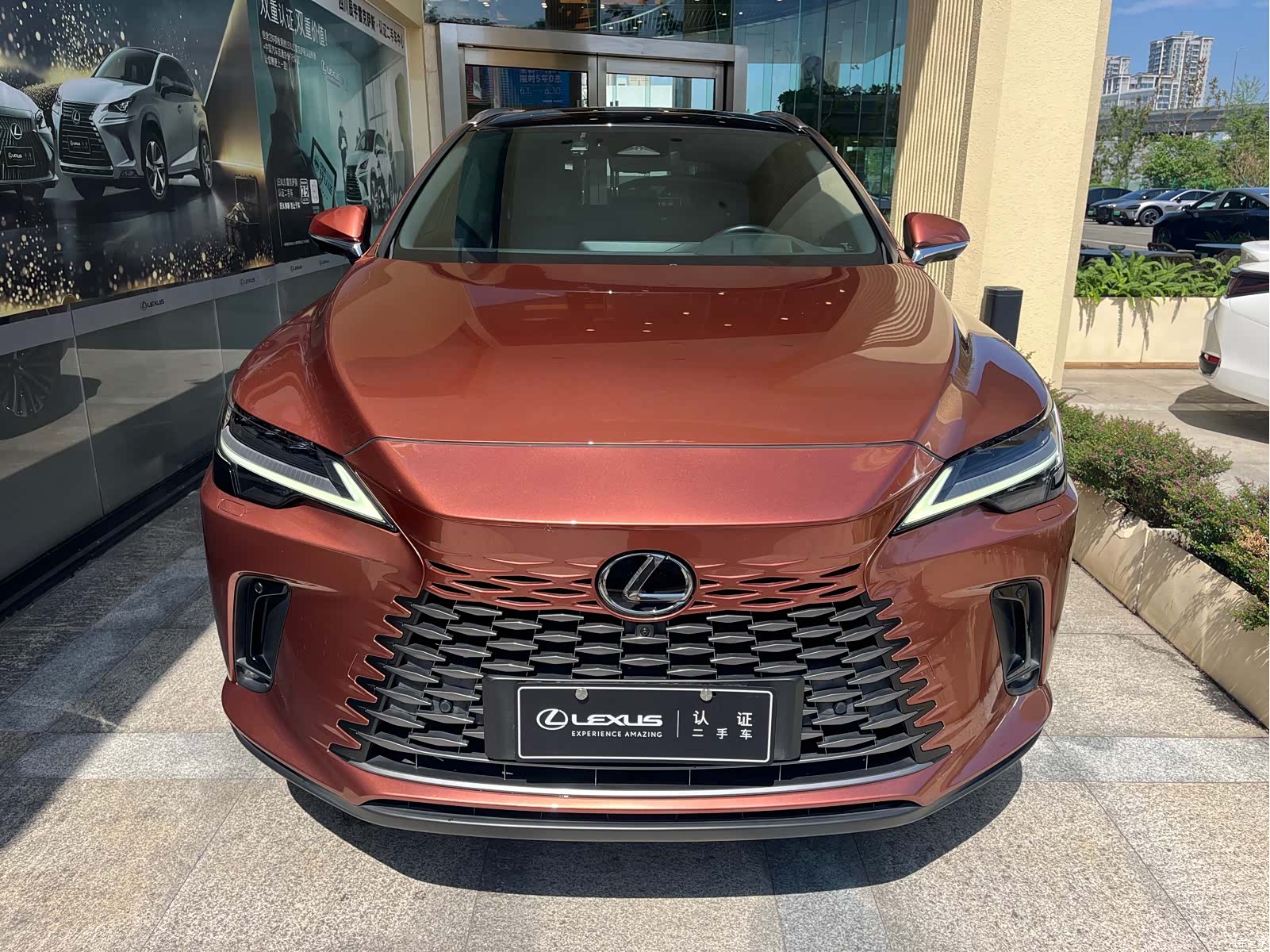 Lexus RX, 2023 2