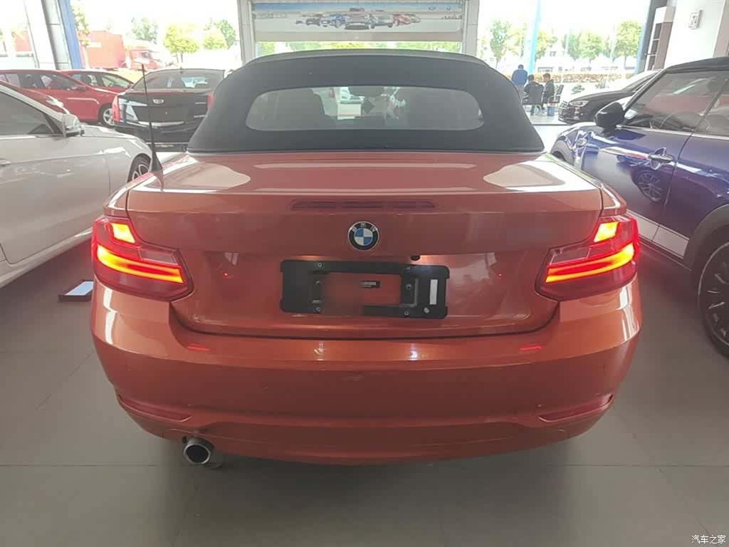 BMW 2 Series, 2017 6