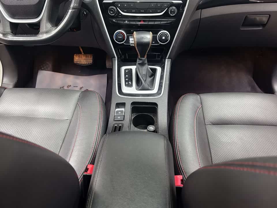 Leopaard Cheetah CS10