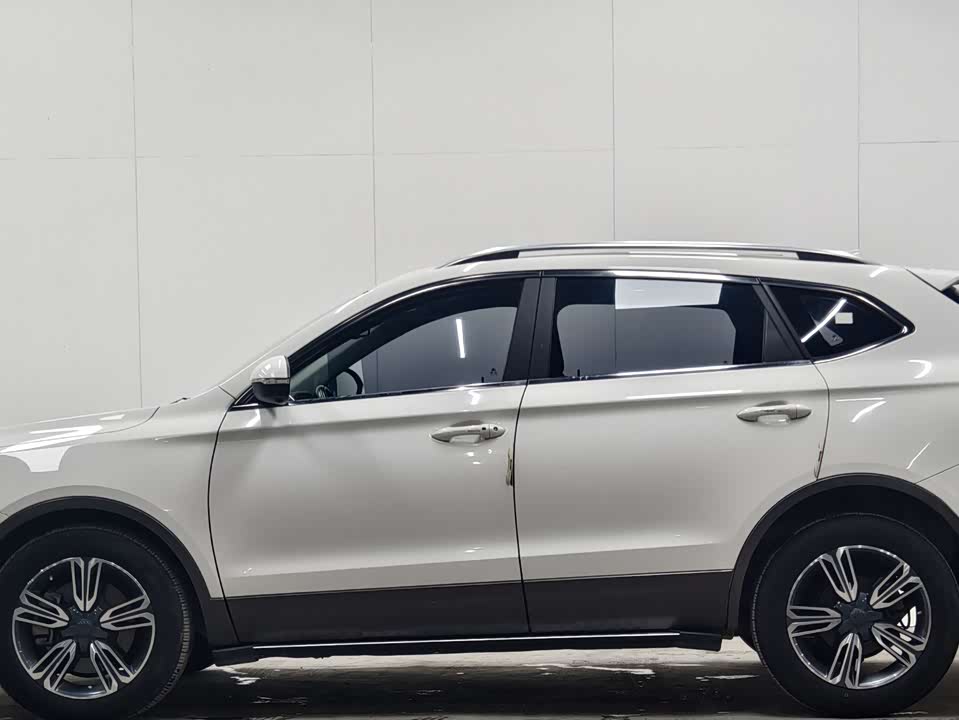 Leopaard Cheetah CS10