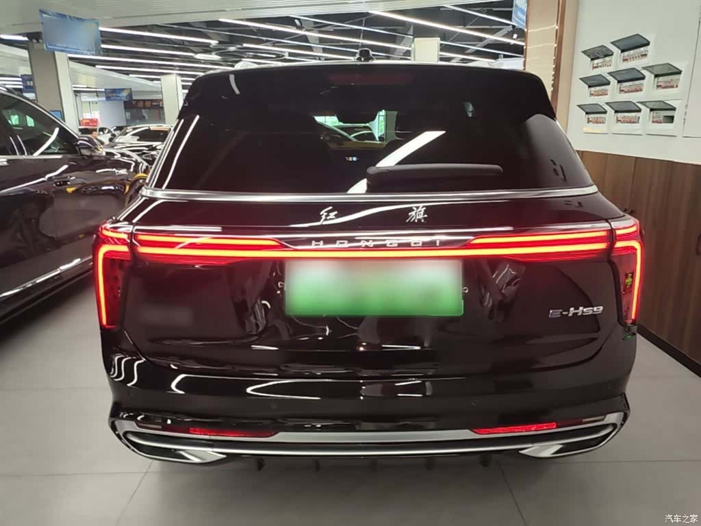 Hongqi E-HS9, 2023 6