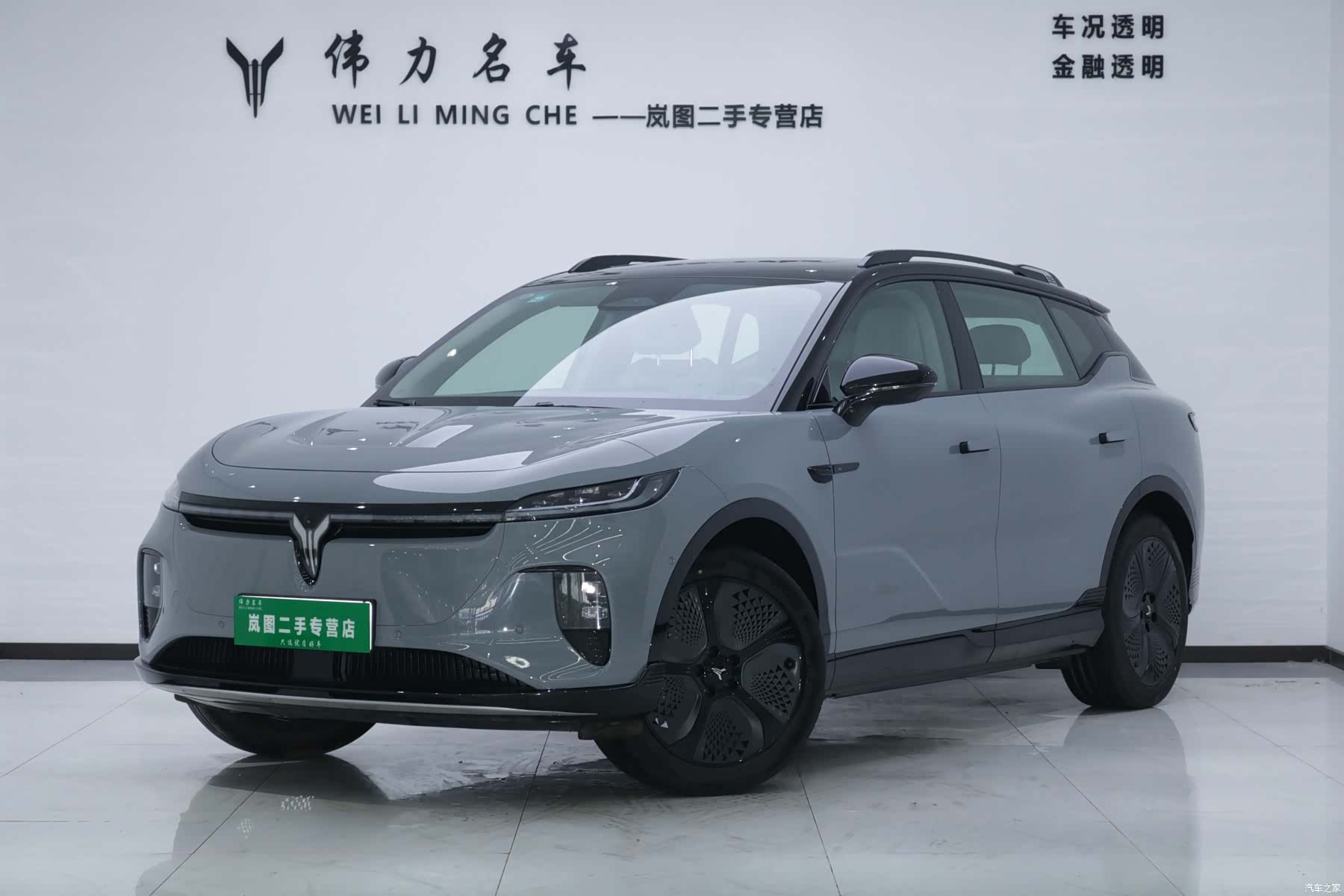 Voyah Zhiyin