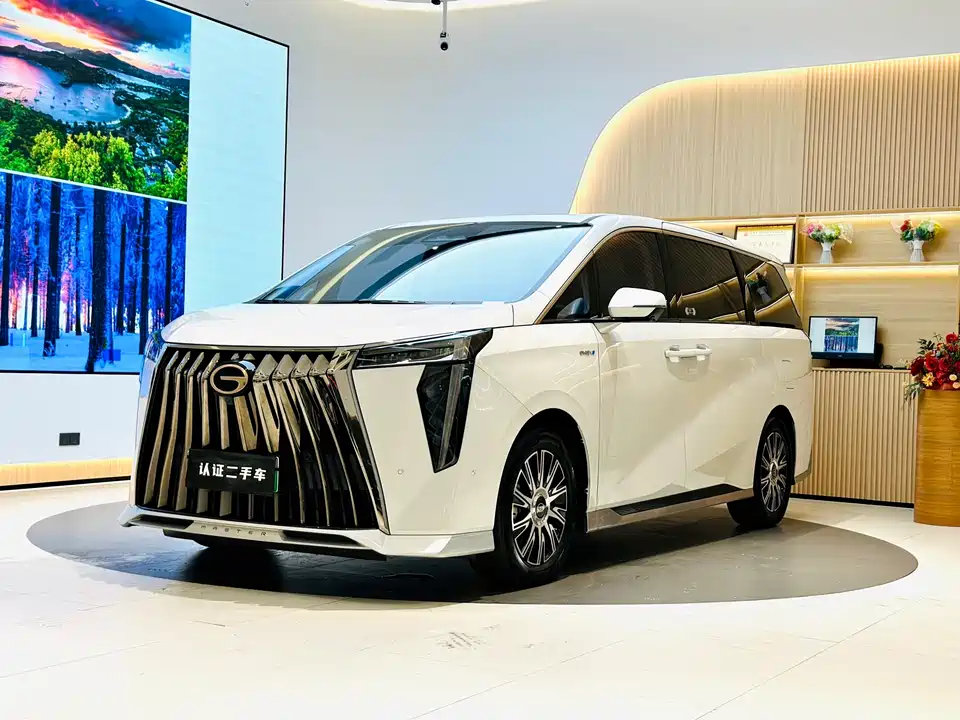 Trumpchi Trumpchi E9