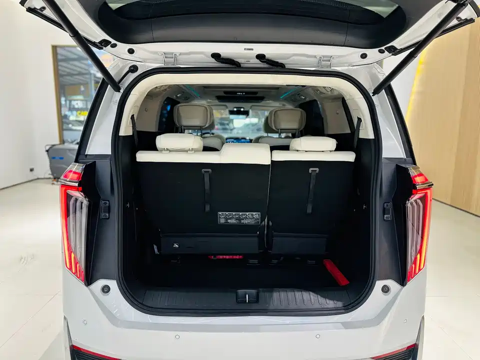 Trumpchi Trumpchi E9