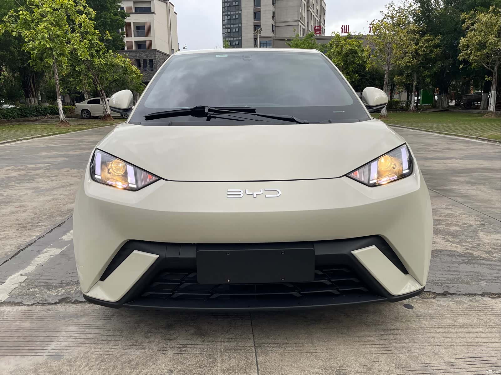 BYD Seagull, 2024 2