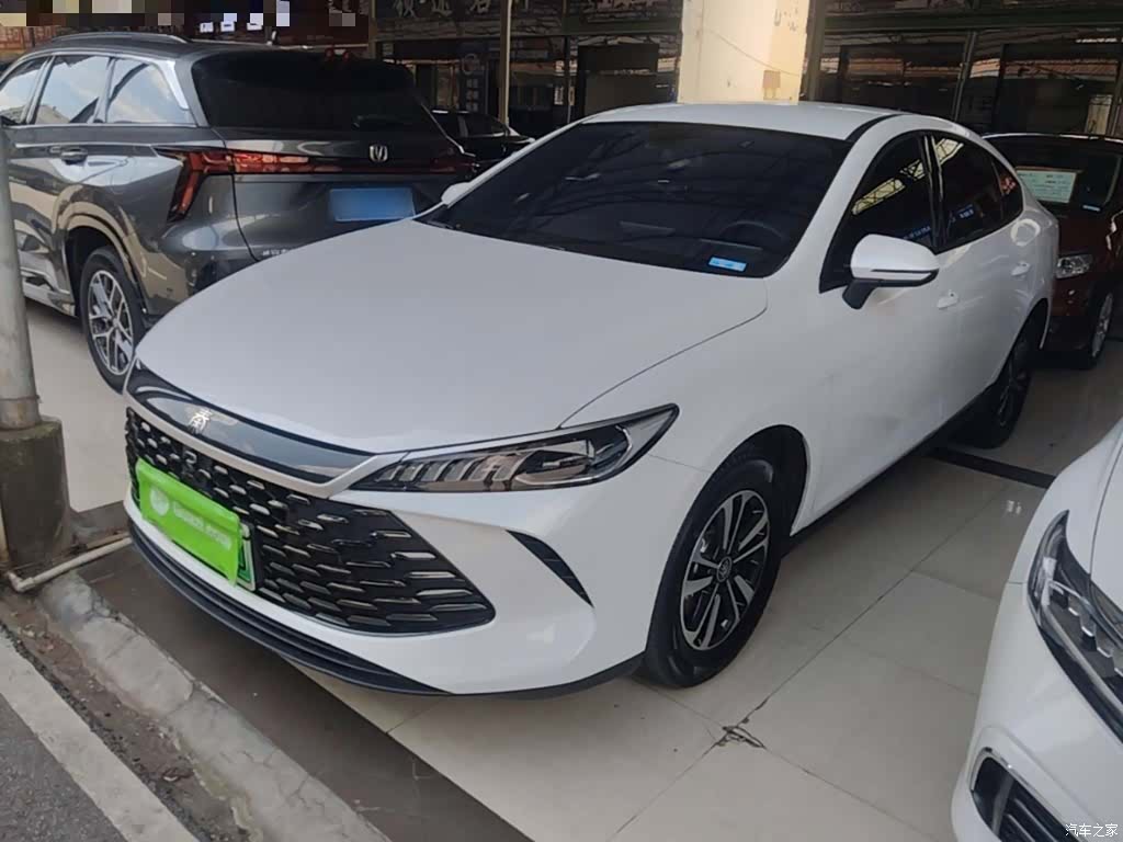BYD Qin, 2026 2