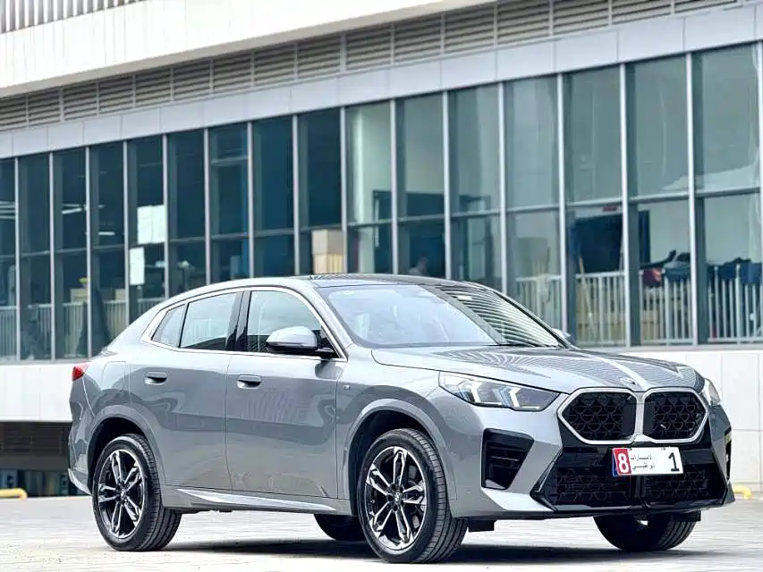 BMW X2 BMW X2