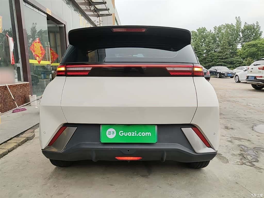 BYD Seagull, 2024 6