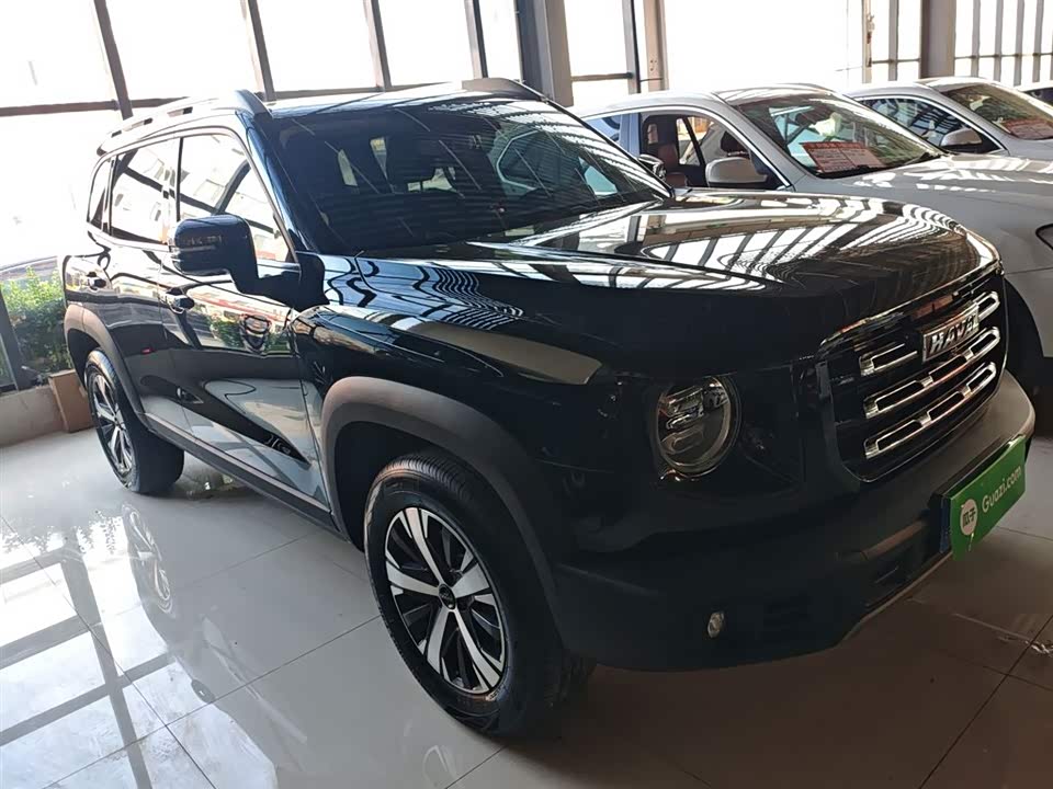 Haval Big dog