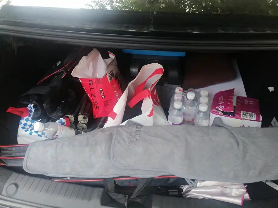 Geely Galaxy Galaxy L6