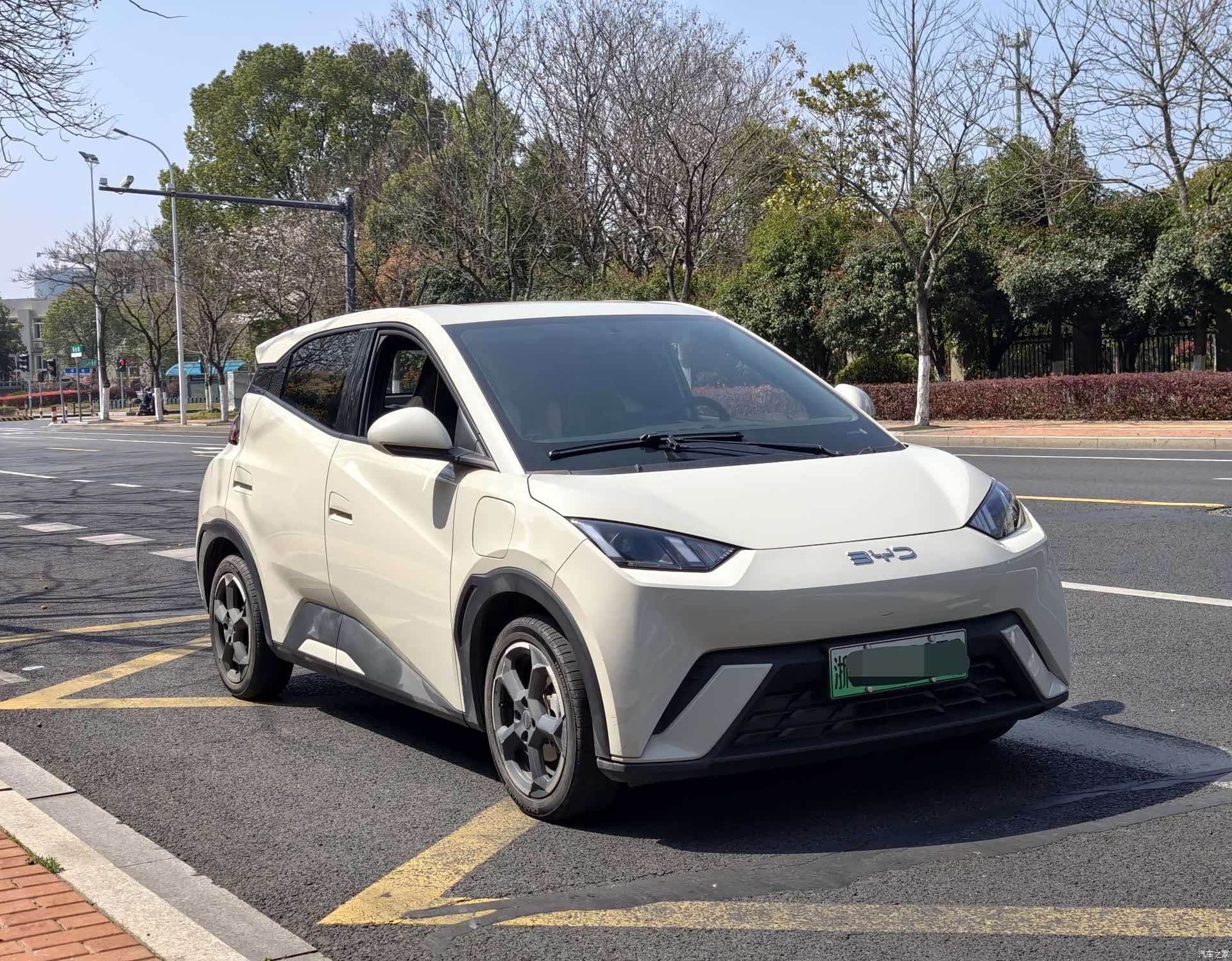 BYD Seagull, 2024 3