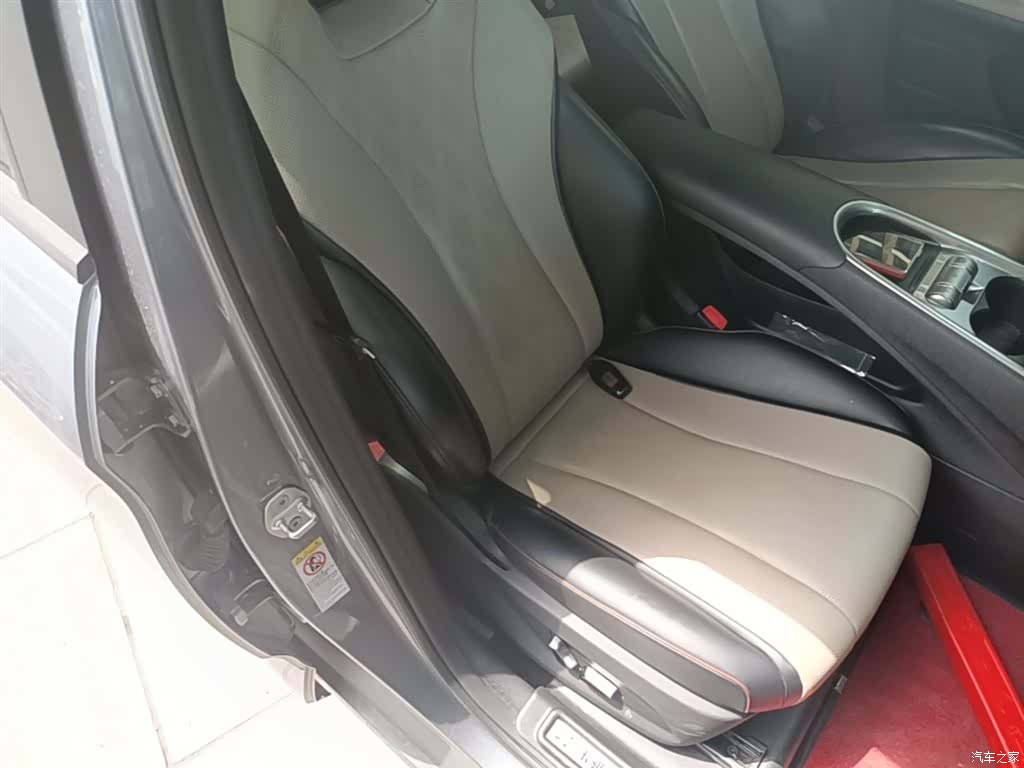 BYD Dolphin, 2024 25