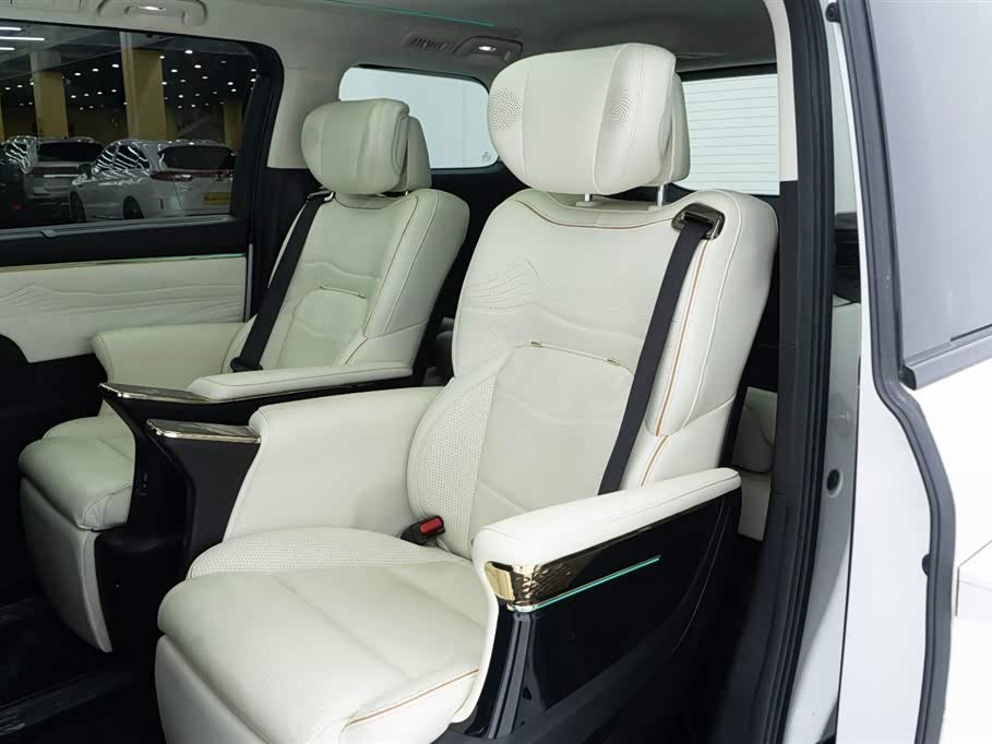 Trumpchi Trumpchi E9