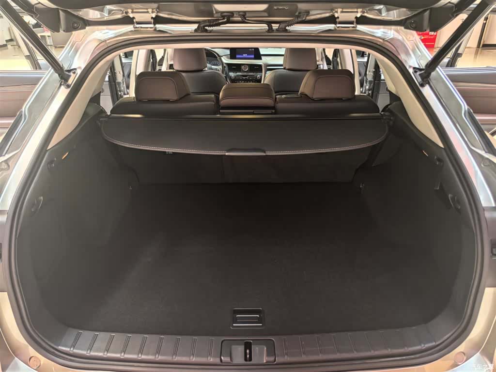 Lexus RX, 2018 19