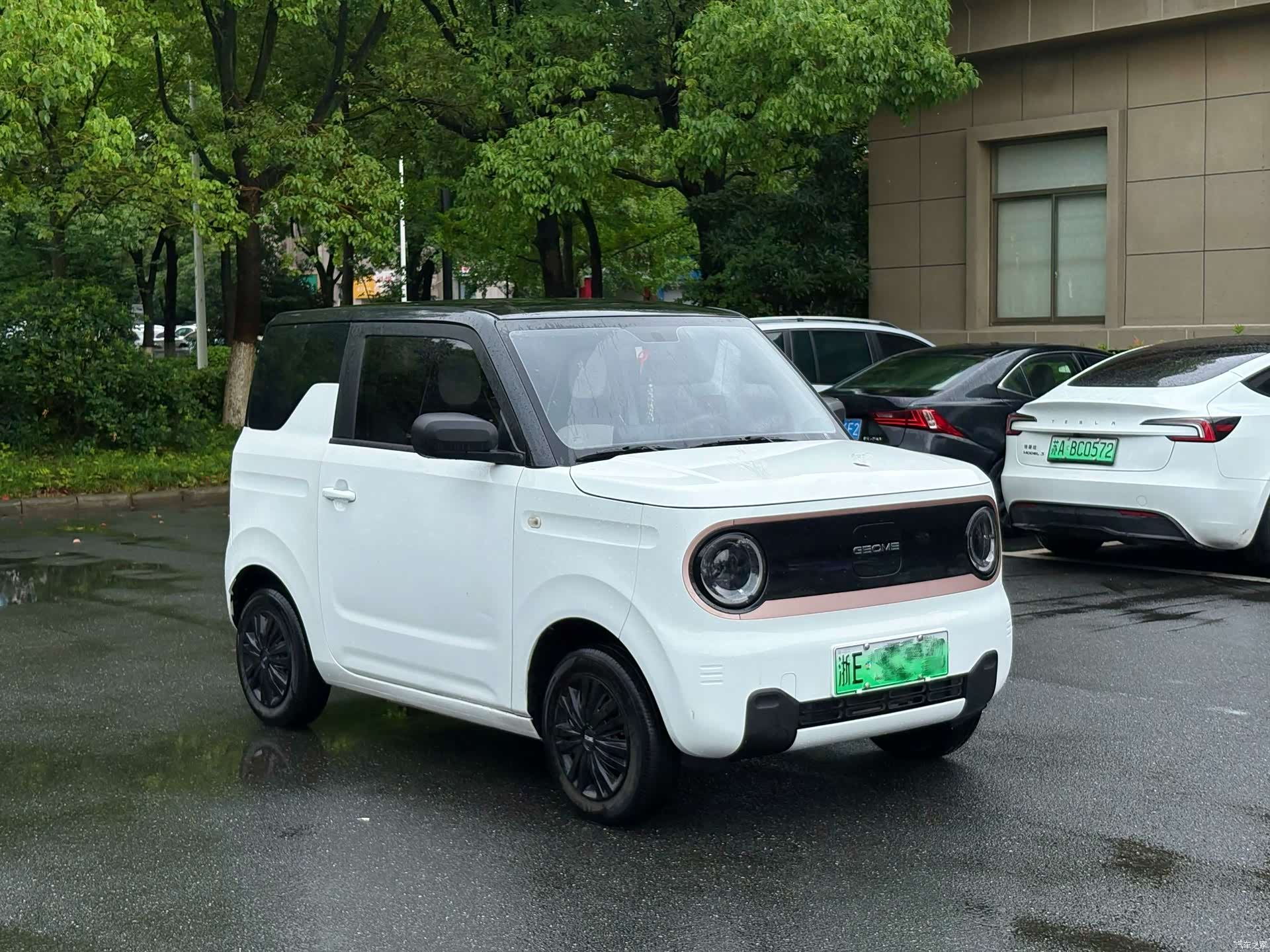 Geely Panda, 2024 3