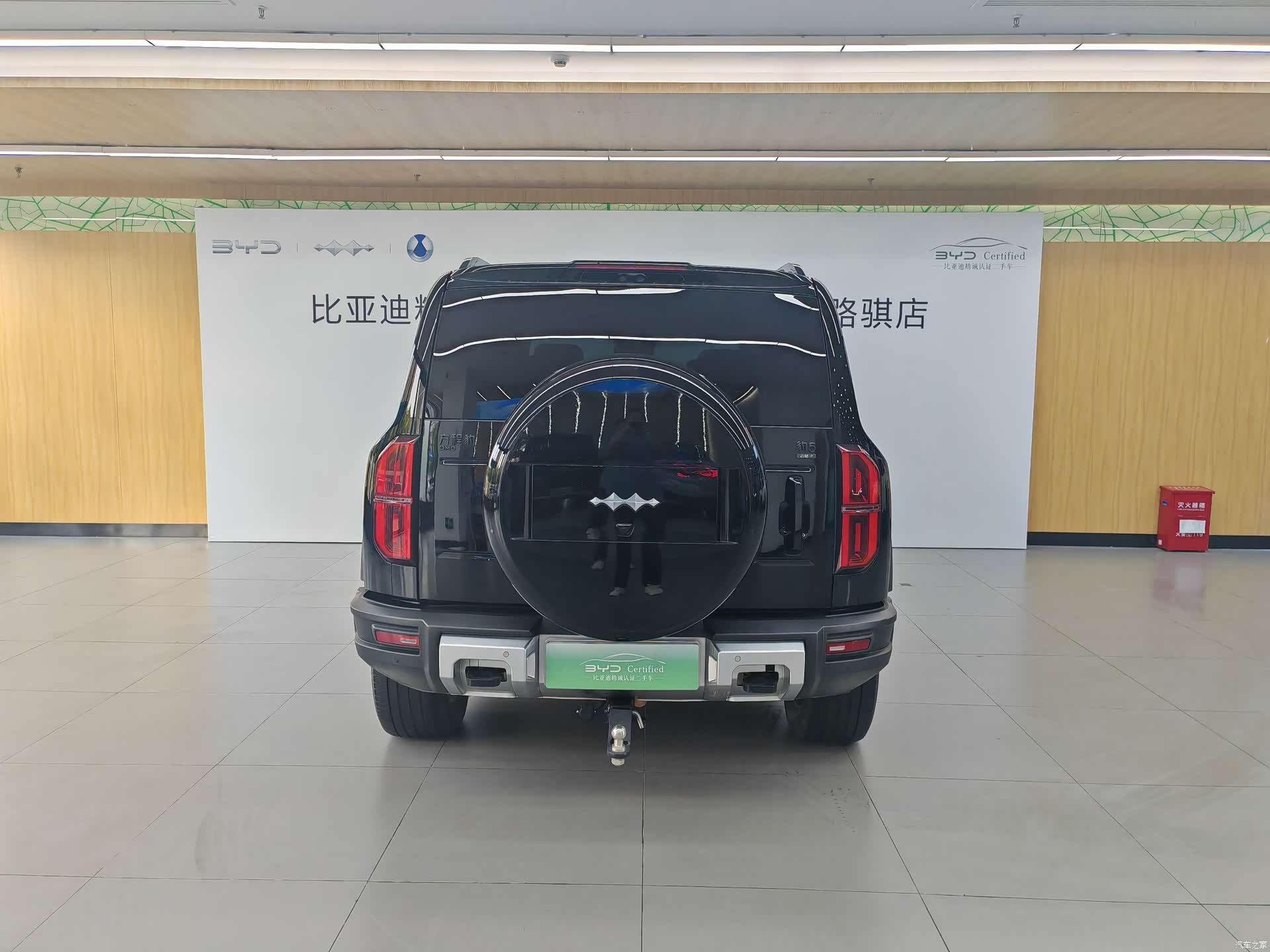 Fang Cheng Bao Bao 5, 2024 6