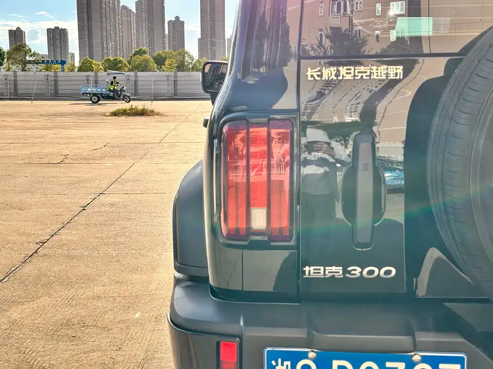 Tank 300