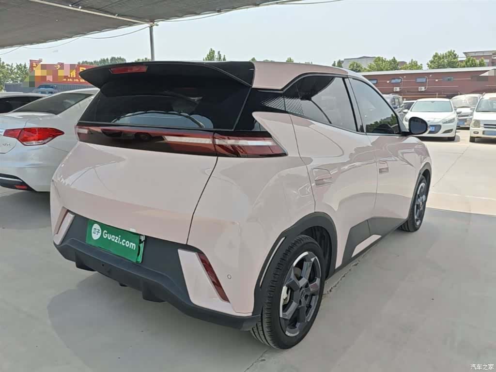 BYD Seagull, 2024 7