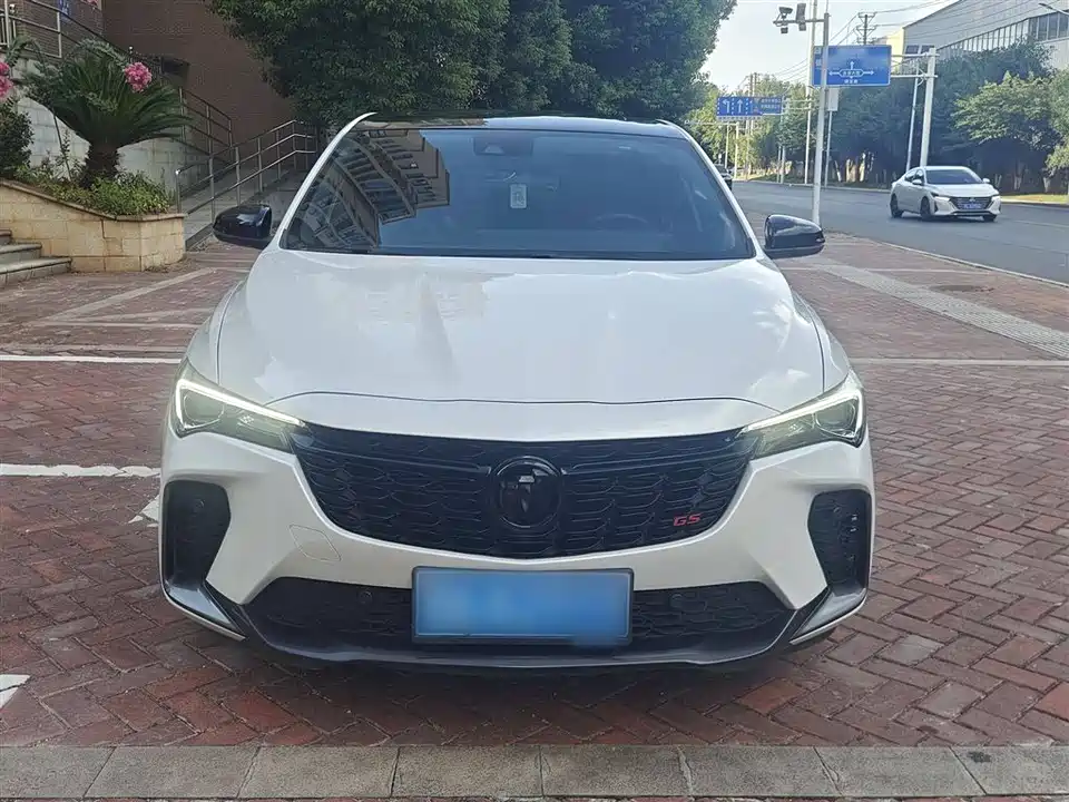 Buick Weilang