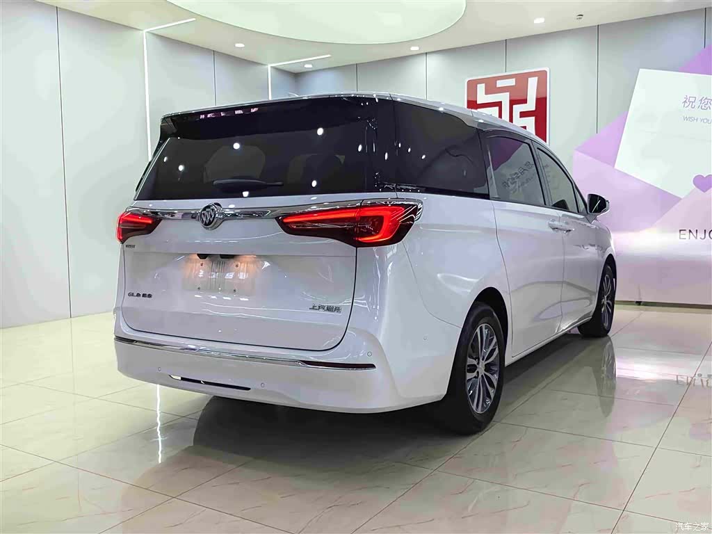 Buick GL8, 2020 6
