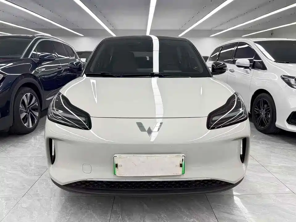 Wuling Wuling Bingguo PLUS