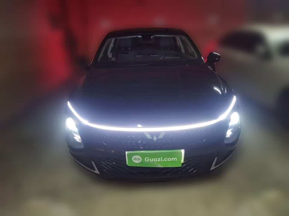 Wuling Wuling Starlight