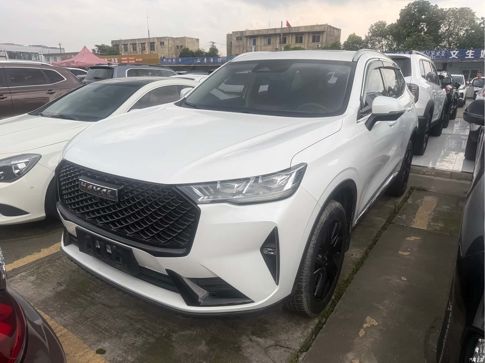 Haval H6, 2020 1