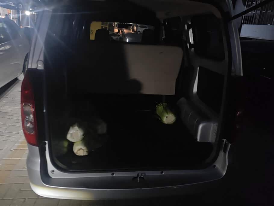 Wuling Wuling Hongguang V