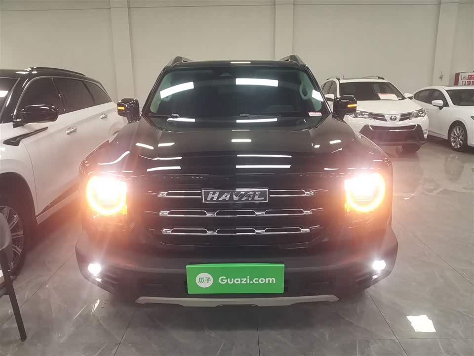 Haval Big dog