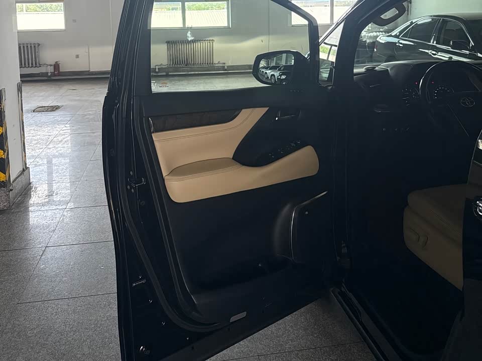 Toyota Elfa