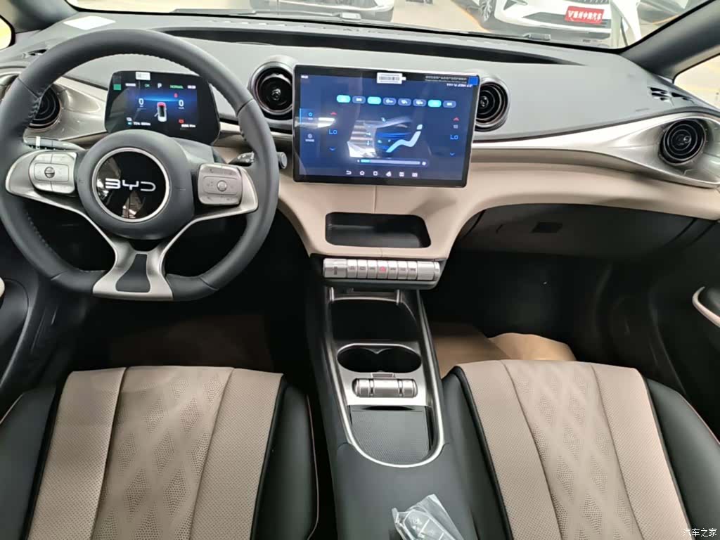 BYD Dolphin, 2026 13