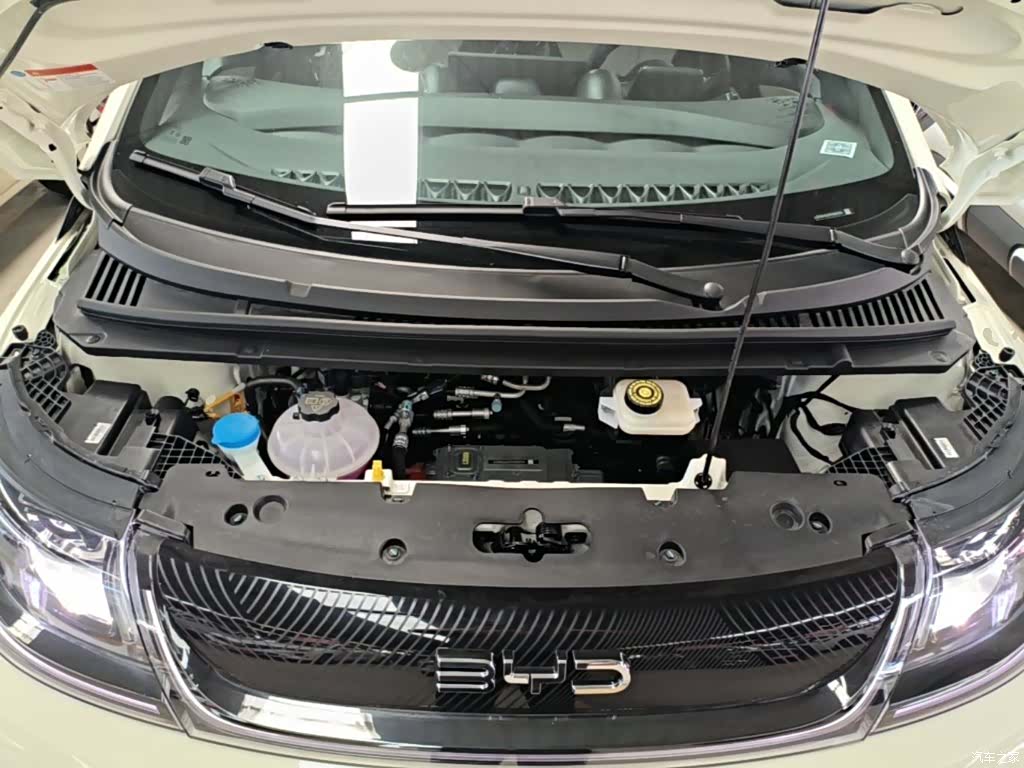BYD Dolphin, 2026 20